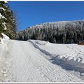 Les Vosges sous la neige