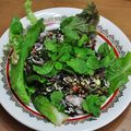 19 Juillet - Salade de fourmis