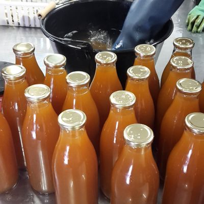 On fait notre jus de pommes