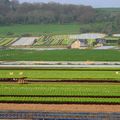 Sécheresse en France - 80 départements en restriction d'eau - Drought in France - 80 departments in water restriction