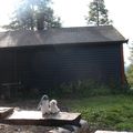 Cabin Trip : Heinfjordstua - day 2 !