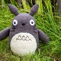 Totoro au Royaume des têtes d'épingles