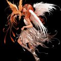 ange et phoenix