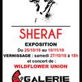 Nouvelle expo dès jeudi prochain : SHERAF !