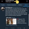 Le Printemps Républicain et Laurent Bouvet contre Mennel: retour sur un déni