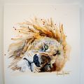 AQUARELLE LION