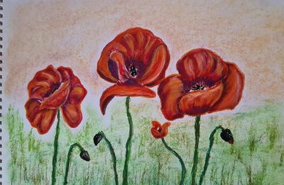 Coquelicots au pastel