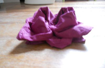 Lotus en papier serviette
