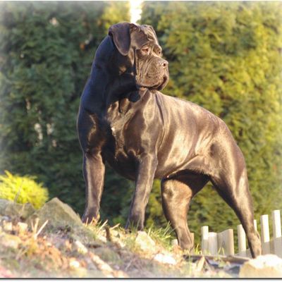 3 ans pour Dalika !!!