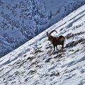 Hautes Alpes premières neiges