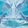 Le fantasme New Age de l'énergie magique des dauphins