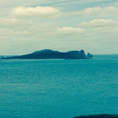 Thursday 18th Howth cliff walk 