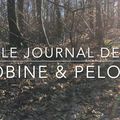 Mailles de février - le journal créatif de Bobine & Pelote - 2019