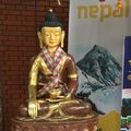 Merveilleux voyage au Népal 