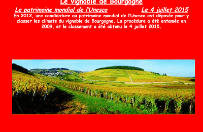le vignoble de Bourgogne, le 4 juillet 2015
