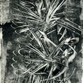 monotype