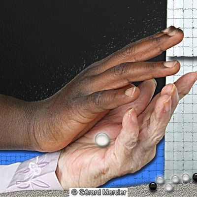 Gérard Mercier - LDS - 437 - "Coquillage"