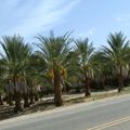 a02 10 2011 - Palm Springs - San Diego