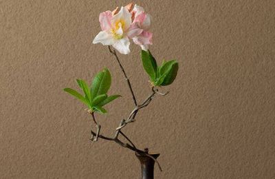 Ikebana by Toshiro Kawase