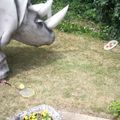 Le Rhino en Vancances