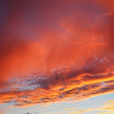 Encore un cadeau du ciel ....