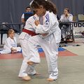 Judokas compétiteurs