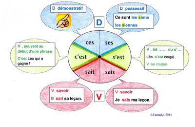 Français - Vocabulaire : Homophones (Homonymes) 