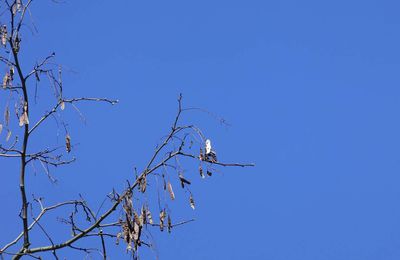 2 - 31 mars 2019 au parc vauvert à Clamecy