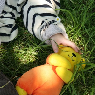 Une partie de campagne