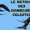 Les grues cendrées migrent au dessus de nos têtes..... de grandes escadrilles bruyantes