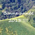 Voeux 2013...