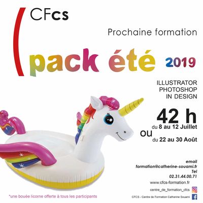 Création de pub formation CFcs