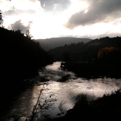 Tendre mois, novembre...