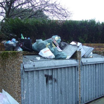 Chronique 10 : Voeux 2013 très "poubelles"