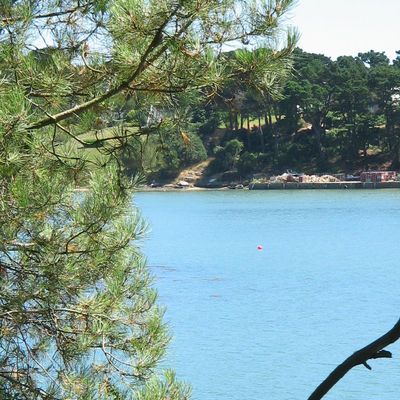 Sous le soleil du Golfe du Morbihan