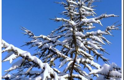 Nouvelle offensive du froid et de la neige...