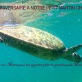 BON ANNIVERSAIRE MARTIN!!!!!!!!!!