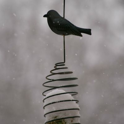 Photo de la semaine 3/52