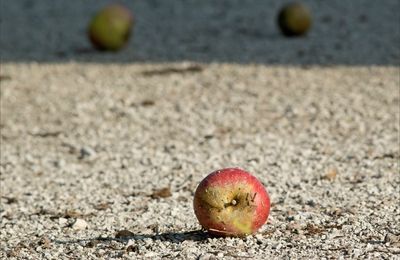 Après le passage de M. Newton...