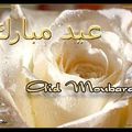 AID MOUBARAK