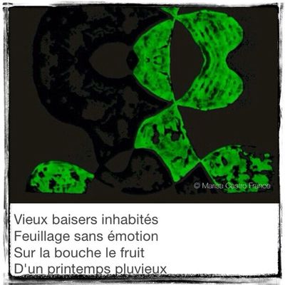 Printemps des poètes 2014 