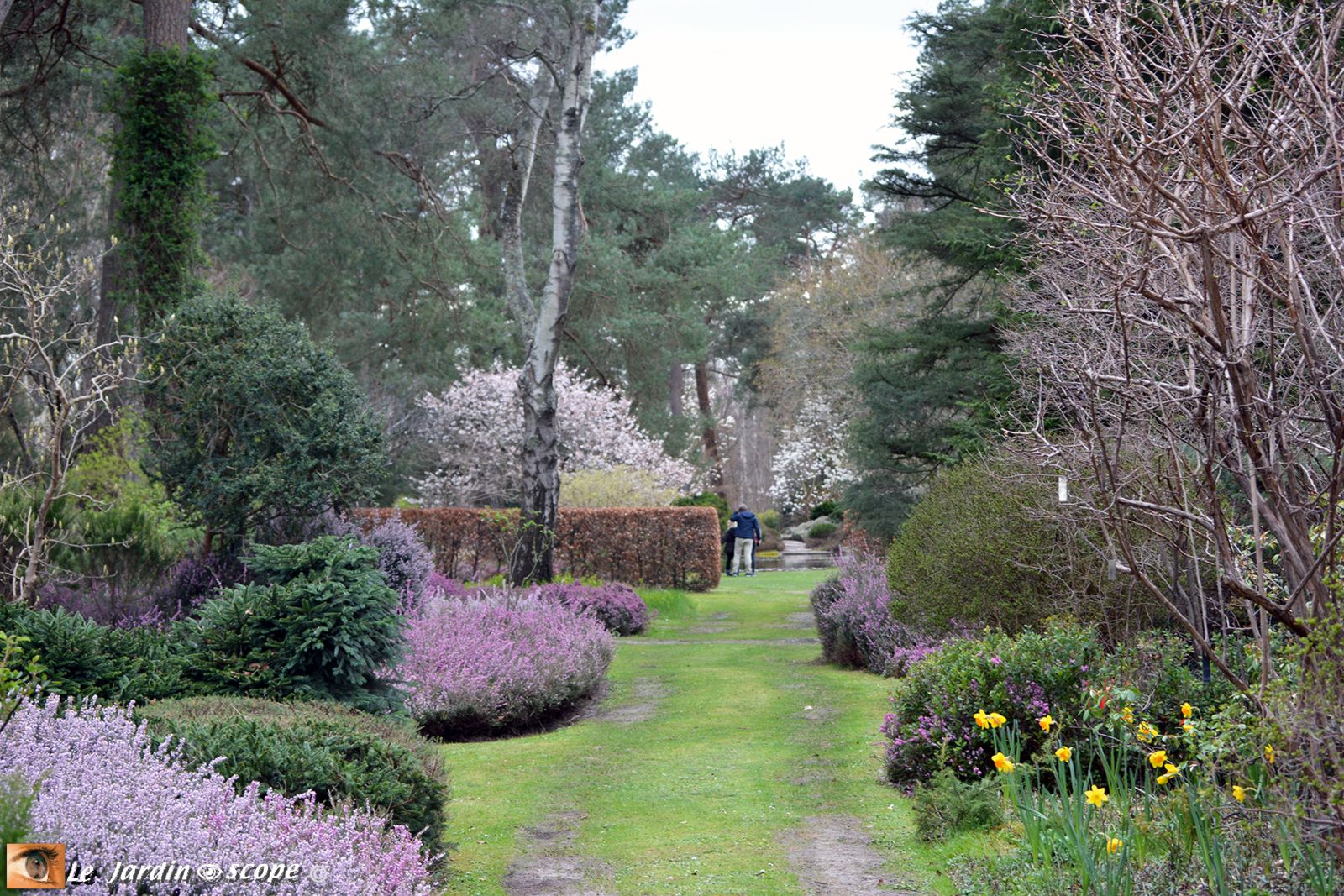 Arboretum des Grandes Bruyères 