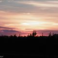 Un coucher de soleil dans la campagne landaise....