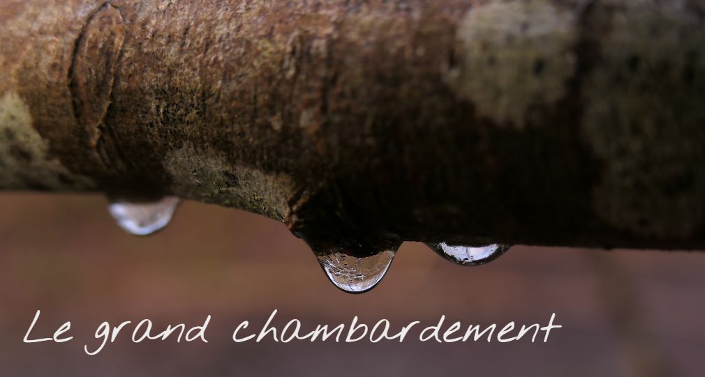 le grand chambardement