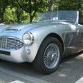 L' Austin healey 3000 (Rencard Haguenau)