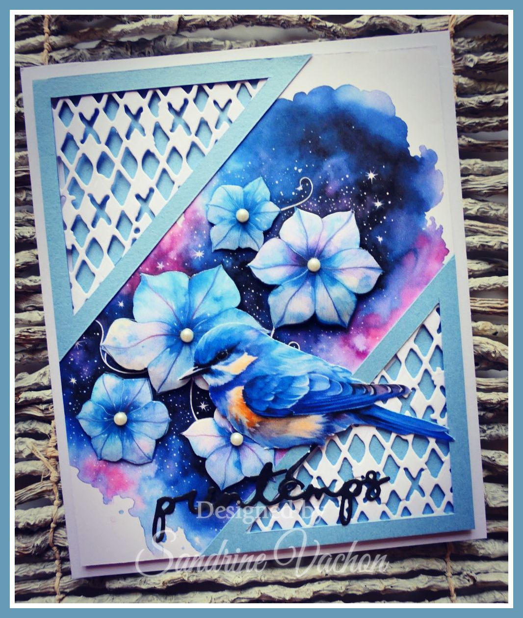 Sandrine VACHON 884 PCC (1)