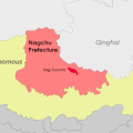Des villageois tibétains emprisonnés dans le comté de Sog pour avoir dirigé un «gang criminel».