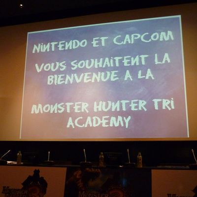 voici le déroulement de ma journée lors de la hunter academy