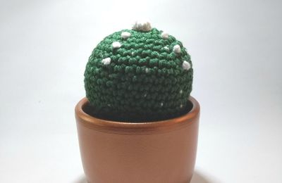 Mes Cactus au Crochet à parfumer aux HE ( Huiles essentielles )