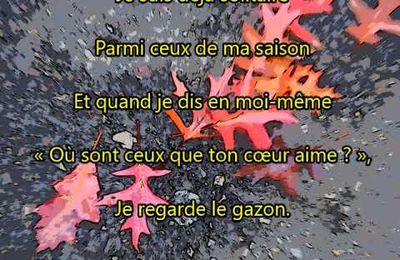 UN FARCEUR A CONTRE-EMPLOI